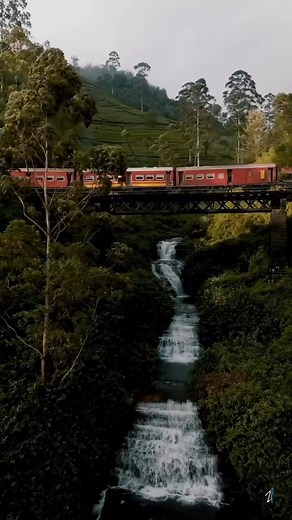 One of the most iconic train rides in the world 📍Sri Lanka. video credit - @amalprasad #train #rides #world #travel #srilanka #reels | Look Lanka