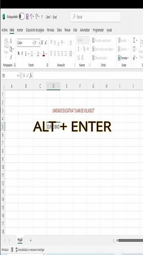 👍PONER VARIAS LINEAS DE TEXTO EN EXCEL (Como poner varios textos en una celda)