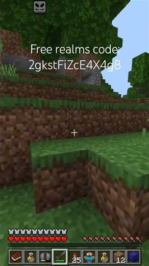 Minecraft free realms