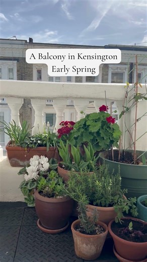 Welcome to A Balcony in Kensington
