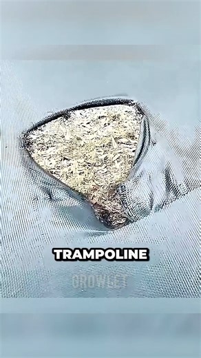 No one knew which animal ripped off the trampoline until 😂🐻 #shorts