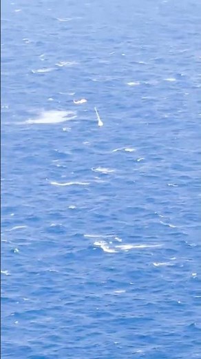 VIDEO: MH-60 Jayhawk helicopter attempts sailboat rescue off NC coast