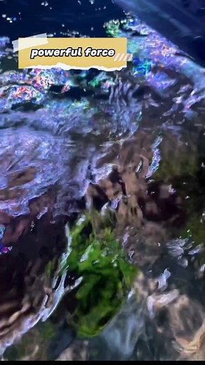 hygger 24V DC Aquarium Water Pump Product Review🥳 1. Low Water Level Water Pump 2. Multiple Nozzle Sizes, Wide Use 3. Durable DC Powered Submersible Pump #hygger #hyggeraquarium #aquariumtank #aquariumfishlove #aquariumtankfish | Hygger Aquarium