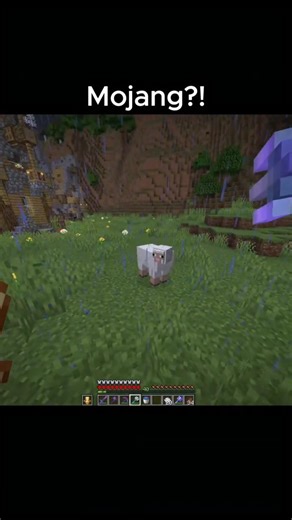 mojang need to fix this #minecraft