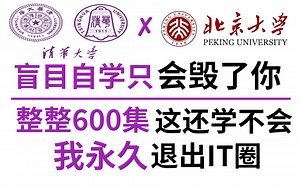 【比刷剧还爽！】13天高效刷题 | 哔哩最强LeetCode算法刷题模式！全套600集！全程干货，无废话！还学不会我永久退IT圈！