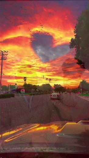 Plunet Shaker on TikTok