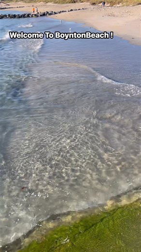 South Florida! Boynton Beach! Living The Dream in the dead of a “brutal American Winter”! 🤣 #welcometoboyntonbeach #BoyntonBeachWelcomesYou #boyntonbeach | Welcome To Boynton Beach