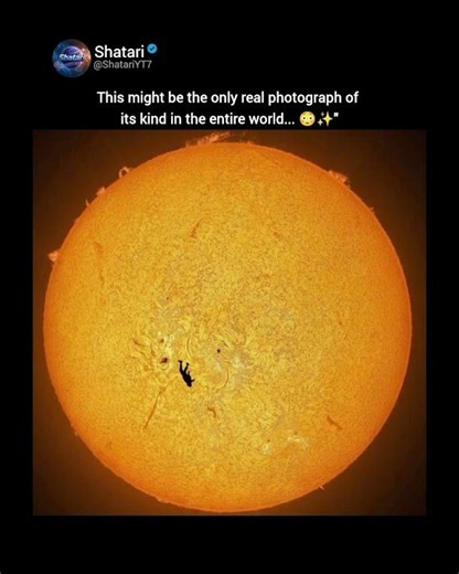 The Only Photo Of Its Kind In The World! 🪂☀️