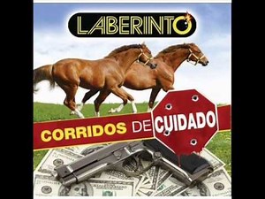 El perron de merino Grupo laberinto