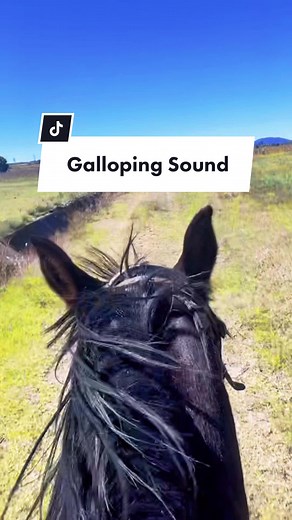 Galloping Sound: The Best Sound in the World