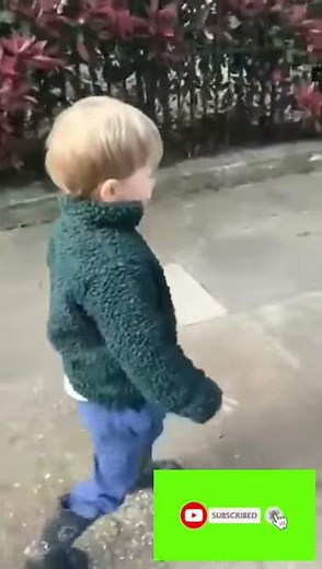 Hi Hi Good morning kid Cute Video #goodmorningkid #cutebabystatus #cutebabyvideos #cutebabyvideo