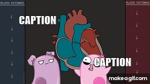 Circulatory System and Pathway of Blood Through the Heart on Make a GIF
