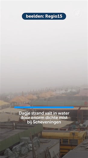 377K views · 1.1K reactions | Op het strand verwacht je niet een enorme dichte mist waardoor het voelt alsof je een Nieuwjaarsduik gaat doen. | Hart van Nederland | Facebook