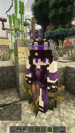I Trapped 300 Players In A Minecraft DMV...