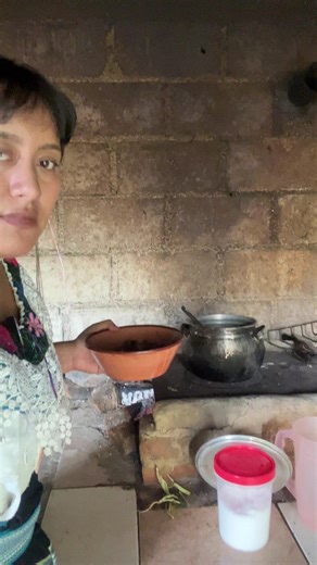 Así como el tacuatzin o tlacuache #guatemala #usa #gastronomia #chiapas #campo
