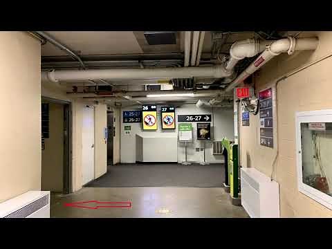 Travel Guide: Ways to Union Station Bus Terminal