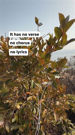 What if music existed before it was written? As if it’s part of the fabric of the universe