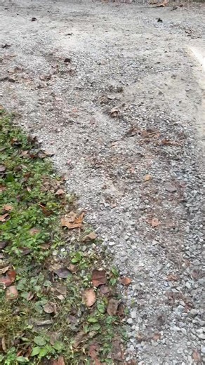 120K views · 1.2K reactions | Check out this skid plate | Combs mobile home mover’s | Facebook