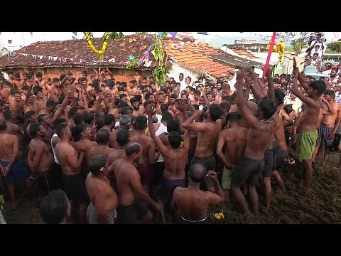 Indians celebrate end of Diwali with cow dung fight | AFP