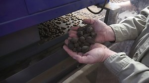 23K views · 102 reactions | From picking by hand to using harvesters and machinery to shake the trees, Davis Pecans has grown into a multi-generational family business success story in the Red River valley. | Arkansas Farm Bureau Federation | Facebook