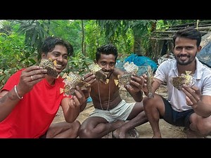 ইলিশ বাপ্পার বাড়ি গিয়ে হাতজাল ও হাত চাপা দিয়ে অনেক মাছ ধরলাম!!!