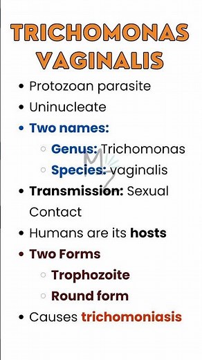 Trichomonas vaginalis causes trichomoniasis #medzukhruf #biology #parasitology #microbiology