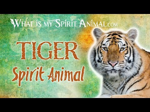 Tiger Spirit Animal | Tiger Totem & Power Animal | Tiger Symbolism & Meanings