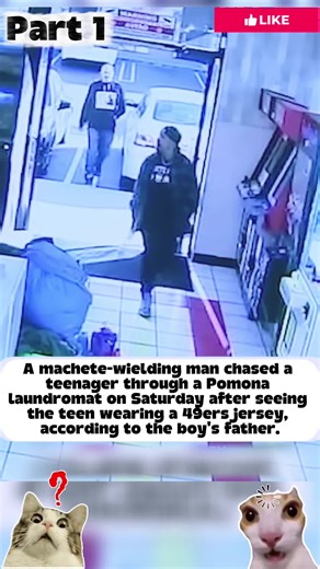 MyStery Case (@mysterycase2)’s videos with original sound - MyStery Case