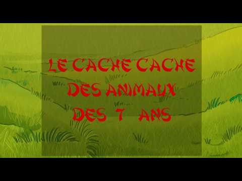 Zodianimo – Le cache-cache des animaux – dès 7 ans