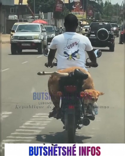 5.9K views · 156 reactions | LUBUMBASHI WANTANSHI: LA CULTURE LUSHOISE ENTRAIN D'ÊTRE PIÉTINER mwanetu avec sa viande préférée | Butshétshé infos | Facebook