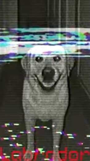 Dream bendy bed scary room