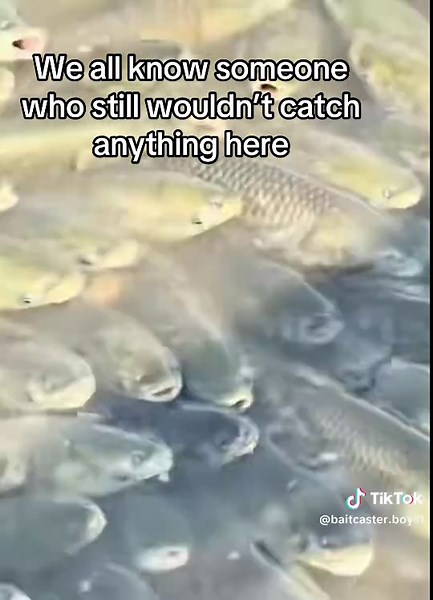 Baitcaster Boys: Perfecting River Fishing Techniques