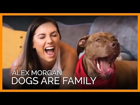 Soccer Champ Alex Morgan and Dog Blue Star in Sweet Adoption Video