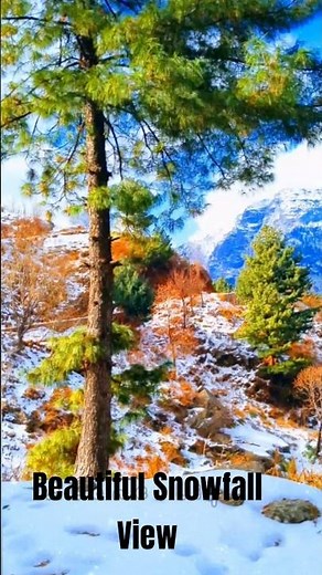 Peaceful Snowfall Moments🏔️😘 #snow #relax #nature #mountains