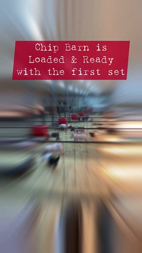 Moving Pigs from Nursery to Chip Barn