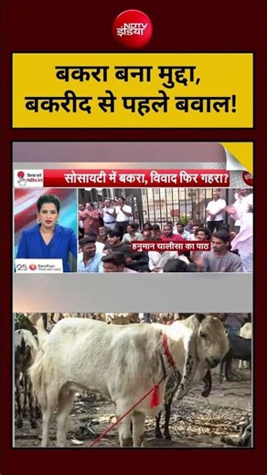 Bakrid 2026 Controversy: बकरा बना मुद्दा, बकरीद से पहले बवाल! Bakrid Row #shorts #ytshorts #bakra