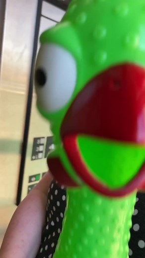 Charlie the Chicken's Elevator Adventure