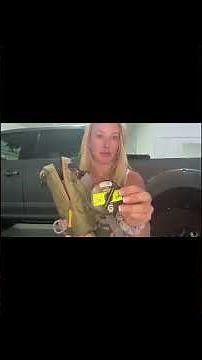 Fly Fishing for Beginners