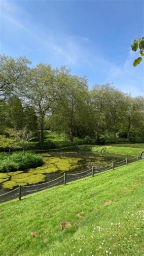 10K views · 76 reactions | We have the most community awarded Green Flag sites IN THE WORLD  These sites showcase the best of Wales’s natural beauty. Make sure you visit some of them! 曆 More here  https://keepwalestidy.cymru/blog/wales-flying-more-community-green-flags-than-any-other-country-worldwide/ Green Flag for Parks - Wales / Gwobr y Faner Werdd i Barciau - Cymru Keep Wales Tidy - Cadwch Gymru'n Daclus #GreenFlagWales #ClimateActionWales | Welsh Government | Facebook