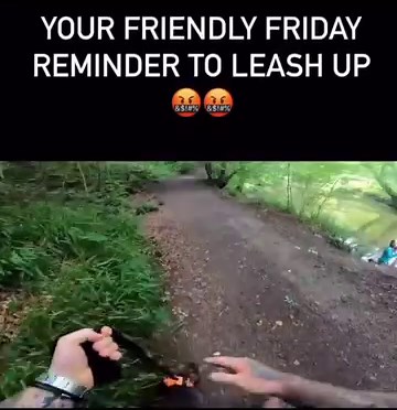 1.8M views · 17K reactions | Responsibility in dog ownership can go a long way & keep everyone safe. If only more people actually had it #dogs #dog #leashyourdog #recall #recallyourdog #dogownership #responsibility #dogtrainer #dogtrainersofinstagram ‼️original video by Vaderblustaf (I think)‼️ | Top Paw K9 Academy | Facebook