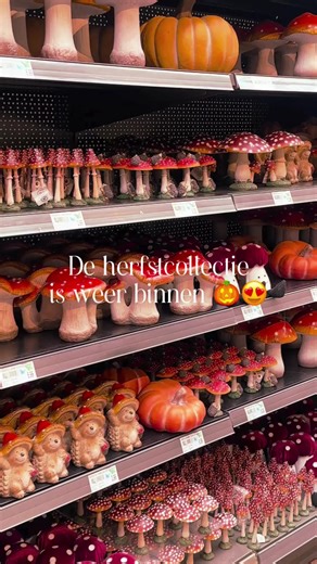 TikTok · Intratuin Duiven