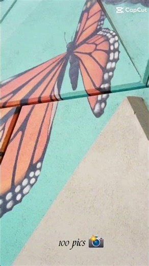 #100pics #cool #100 #pics #animal #montgomery