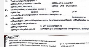 The brown algae have pigments -(a) Chl a, Chl c, Carotene, fuc... | Filo