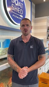 17K views · 162 reactions | If you're keen to explore Australia’s Home of Seafood, learn about the wholesale auction, and explore the Market’s famous retailers, then our Morning Walking Tour is for you! | Sydney Fish Market | Facebook