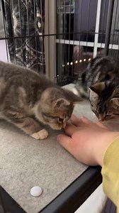 Change can be good ❤️ | Animal Memes