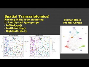 Spatial Transcriptomics - Part 4: Unsupervised InSituType
