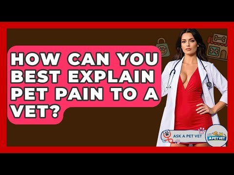 How Can You Best Explain Pet Pain To A Vet? - Ask A Pet Vet