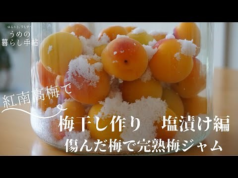 【手しごと】梅仕事 梅干し塩漬け編⁑傷んだ梅で完熟梅ジャム作り