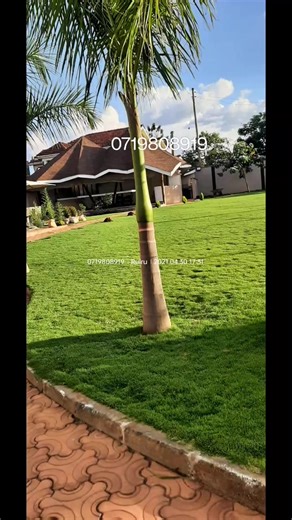 # the best landscapers in kenya #kenyanlandscaper #elitelandscaperskenya #elitekenyalandscapers call 0739 222 777 or 0719 808 919