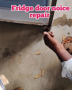 Fridge door making noice Repair | Simple solutions